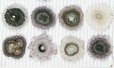 Lot: ~ Amethyst Stalactite Slices ( Pieces) #101648-1